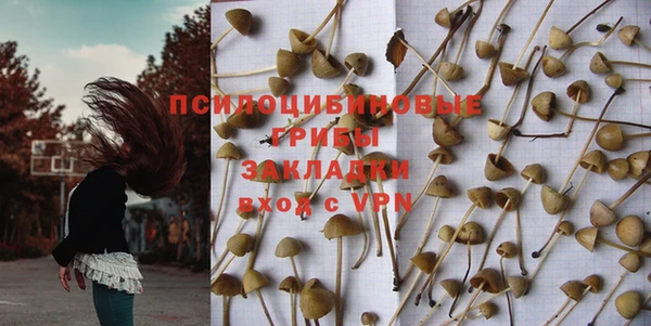дживик Беломорск