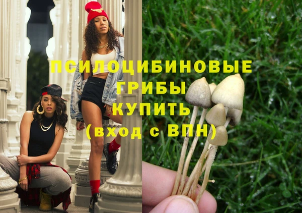 круглые Белокуриха
