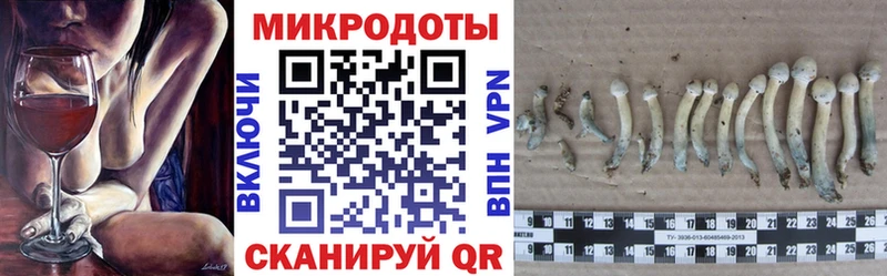 наркота  Саяногорск  кракен рабочий сайт  Галлюциногенные грибы мицелий 
